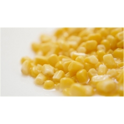 Nasiona Kukurydza żółta słodka szt.4 Nxx578