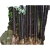 Nasiona Bambus czarny Lako szt.5 N187