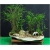 Nasiona Bambus mini szt.10 Nxx191