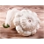 Nasiona Dynia jadalna biała szt.4 Nxx526