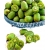 Nasiona Kiwi prawdziwe zielone jadalne pyszne Agrest chiński szt.5 N452