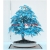 Nasiona Klon bonsai mix  szt.10 Nxx129
