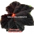 Nasiona Koleus czarny szt.10 N374