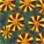 Nasiona Nagietek paskowany czerw-żół szt.5 Nxx497