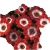 Nasiona Pericallis hybrida czerwony szt.5 N486