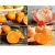 Nasiona Pomarańcza chińska szt.5 Nxx136