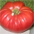 Nasiona Pomidor Gigant czerwony szt.5 Nxx261