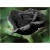 Nasiona Róża chińska czarna szt.5 Nxx260