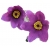 Nasiona Sasanka zwyczajna fioletowa szt.5 N104