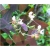 Nasiona Trawa nietoperza fioletowa szt.5 Nxx590