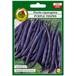 nasiona Fasola szparag Purple Teepee pnos103