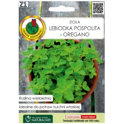 Nasiona Lebiodka pospolita oregano pnos542