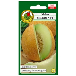 nasiona Melon Seledyn pnos177