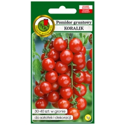 nasiona Pomidor gruntowy Koralik pnos280