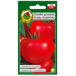 nasiona Pomidor grunt Rumba Ożar pnos299