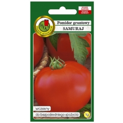 nasiona Pomidor gruntowy Samuraj pnos301