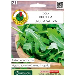 Nasiona Rucola Eruca Sativa pnos551