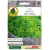Nasiona Bazylia Fine Verde pnos512