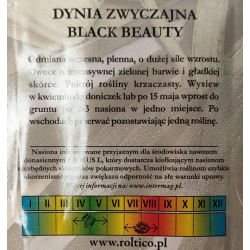 Dynia zwyczajna Black Beauty Cukinia roltx8