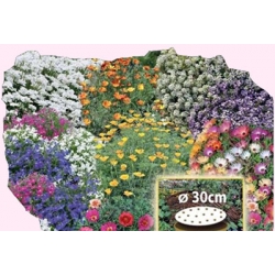 Nasiona Kwietny Dywan mix kwiatów Tor525