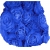 Róża pnąca niebieska Indigolette Rpn6