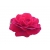 Róża wielkokwiatowa ciemnoczerwona Mr Lincoln Rwi4