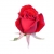 Róża wielkokwiatowa czerwona Dama de Coeur Rwi2
