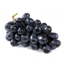 Winogron czarny deserowy winorośl owox56
