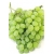 Winogron biały deserowy winorośl owox55