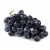 Winogron czarny deserowy winorośl owox56