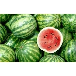 Nasiona Arbuz ogrodowy szt.5 Nxx255