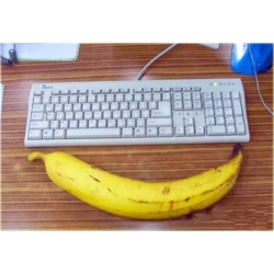 Nasiona Banan Gigant szt.10 Nxx192