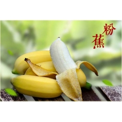 Nasiona Banan mini żółty szt.5 Nxx383