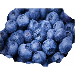 Nasiona Borówka Blueberry doniczkowa szt.5 N165