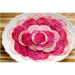 Nasiona Burak czerwono-biały jadalny szt.10 Nxx575