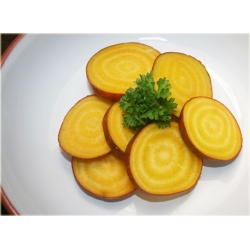 Nasiona Burak żółty jadalny szt.10 Nxx576