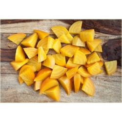 Nasiona Burak żółty jadalny szt.10 Nxx576