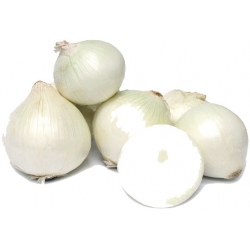 Nasiona Cebula biała słodka bez GMO szt.10 N577