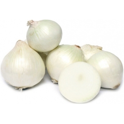 Nasiona Cebula biała słodka bez GMO szt.10 Nxx577