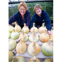 Nasiona Cebula gigant no GMO szt.10 Nxx189