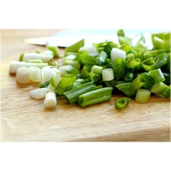 Nasiona Cebulka zielona drobna szt.5 Nxx335