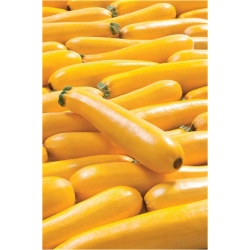 Nasiona Cukinia żółta Goldena szt.4 Nxx441