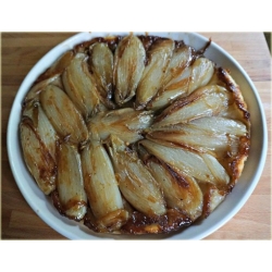 Nasiona Cykoria belgijska jadalna szt.5 Nxx462