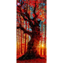 Nasiona Dąb czerwony ameryk. szt.2 Nxx248