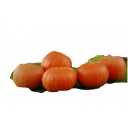 Nasiona Dynia gigant szt.3 N11