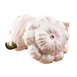 Nasiona Dynia jadalna Patison biała szt.4 N526