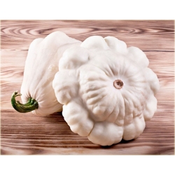 Nasiona Dynia jadalna biała szt.4 Nxx526