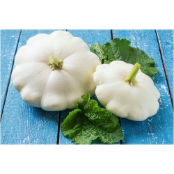 Nasiona Dynia jadalna biała szt.4 Nxx526