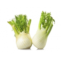 Nasiona Fenkuł włoski szt5 N573