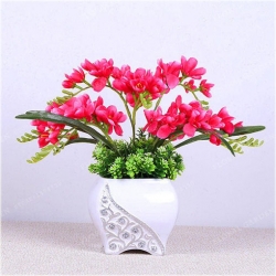 Nasiona Frezja ogrodowa mix szt.3 N463